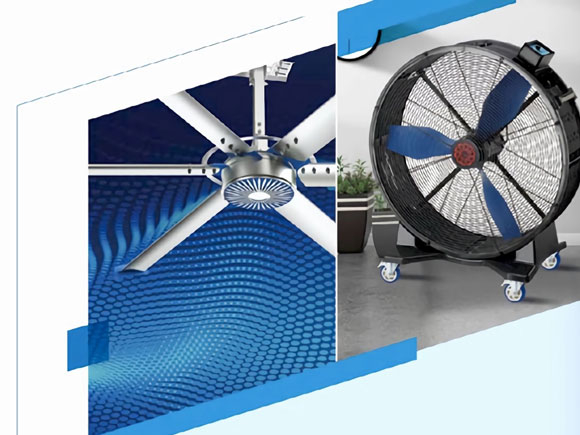 Company products